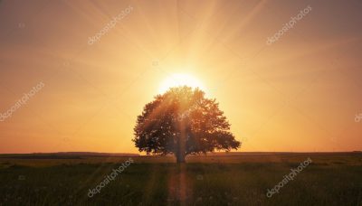 Positivoloog